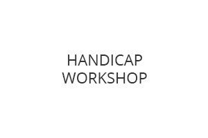 Handicap Workshop