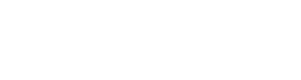 Diego's Mechanics logo