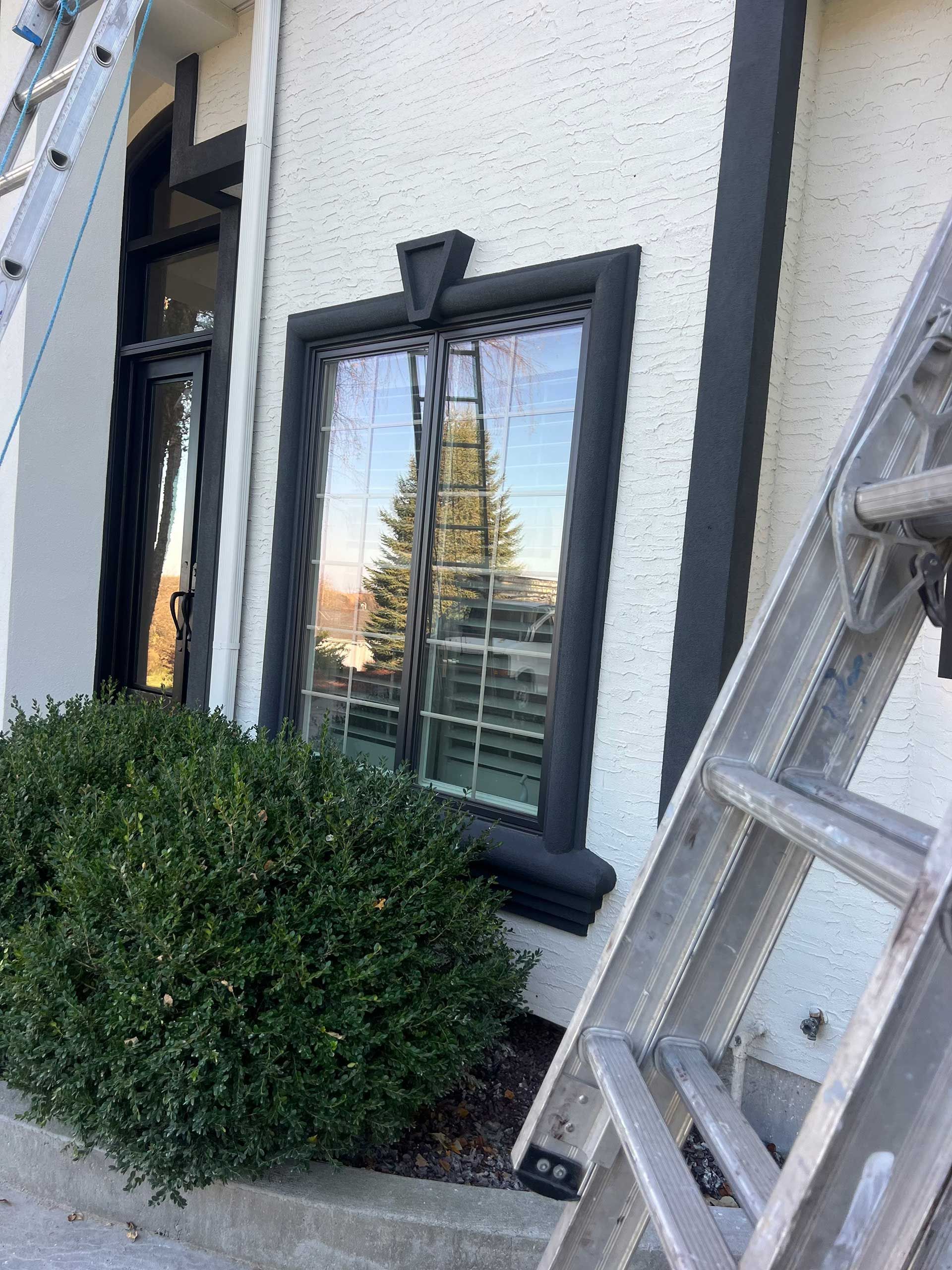 black-trimmed window and door on a white building, a ladder leans against the side, a hedge in front