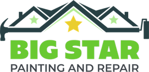 Big Star Painting & Repair - logo