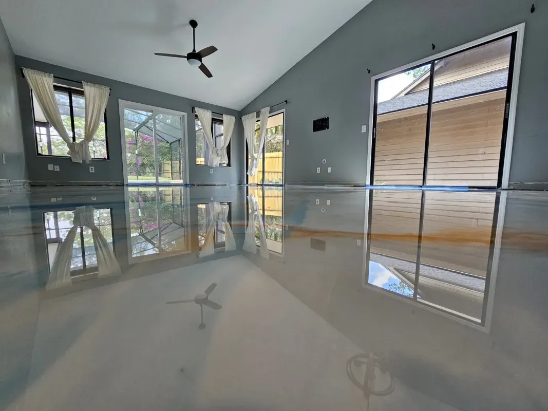 Empty modern living room with glossy floor, gray walls, large windows, and a ceiling fan.