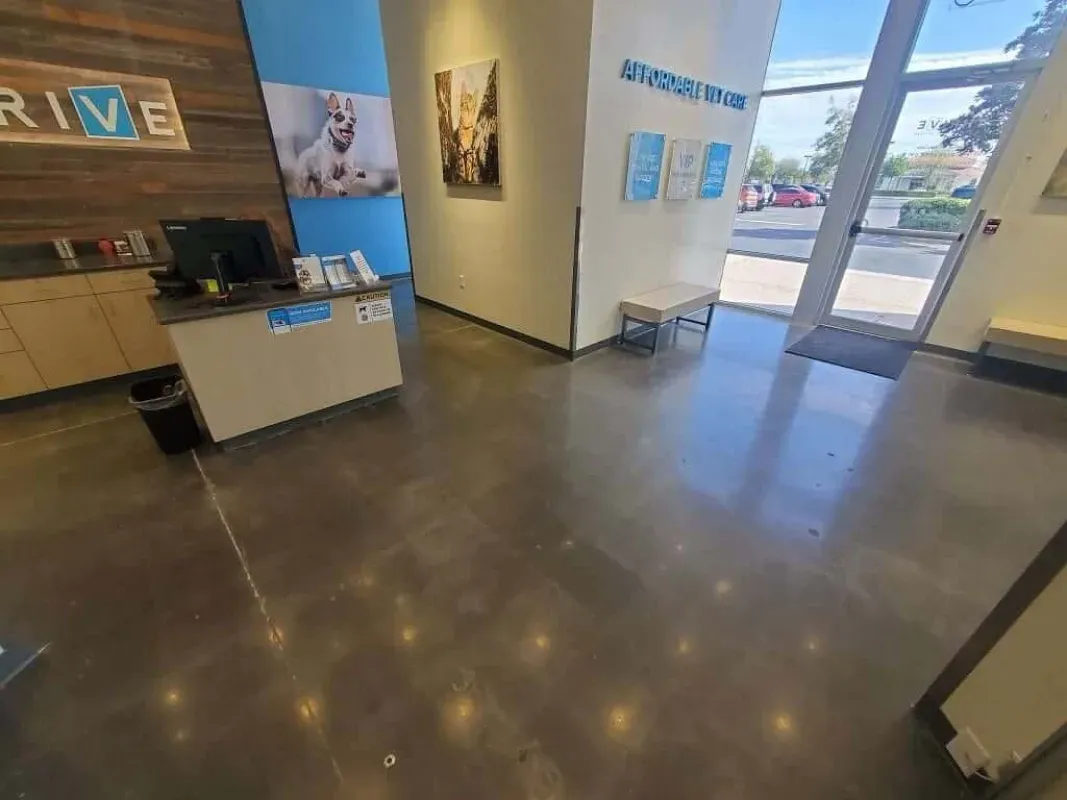 Empty lobby with polished concrete floor, front desk, wood wall accents, and glass entrance doors.