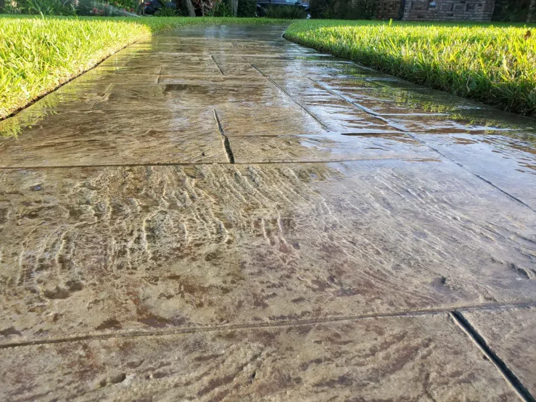 Wet concrete walkway between green grass borders in sunlight