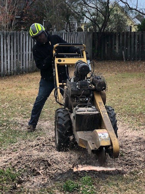 A man is using a stump grinder to remove a tree stump.