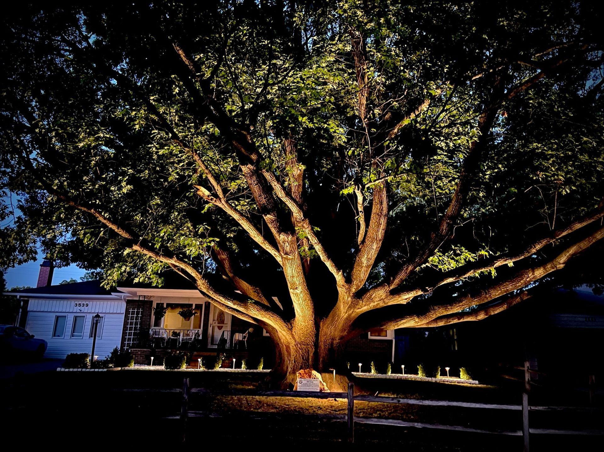 Landscape Lighting