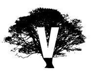 Vega's Tree Service- logo