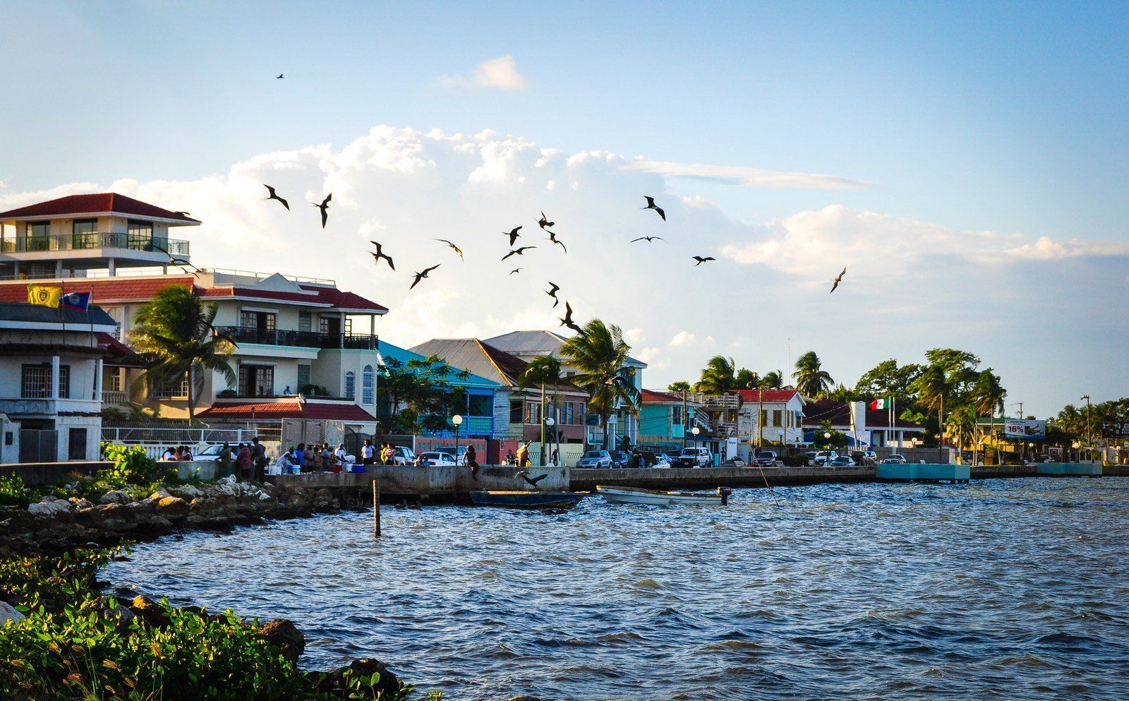 Waterfront buildings with birds flying overhead under a bright sky. The buildings are various colors, and the water is choppy.