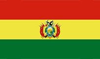 Flag of Bolivia: horizontal stripes of red, yellow, and green, with the Bolivian coat of arms centered in the yellow stripe.