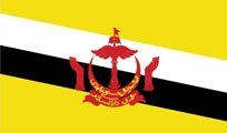 Flag of Brunei, yellow field with white and black diagonal stripes, red emblem in the center.