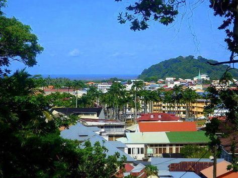 Cityscape with colorful rooftops, tall palm trees, and a green hill under a blue sky.