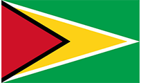 Flag of Guyana: a green field with a large yellow triangle bordered in black, superimposed by a red triangle.