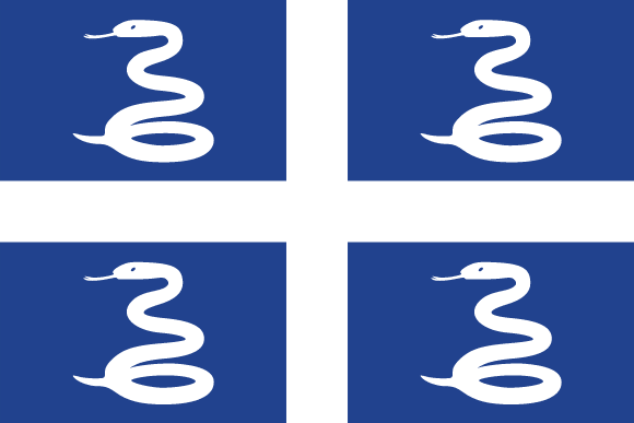 Four blue rectangles with white snakes in a cross formation.