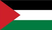 Flag of Palestine: black, white, and green horizontal stripes with a red triangle on the left.