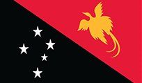 Flag of Papua New Guinea: divided diagonally, red upper-right with a yellow bird, black lower-left with white stars.