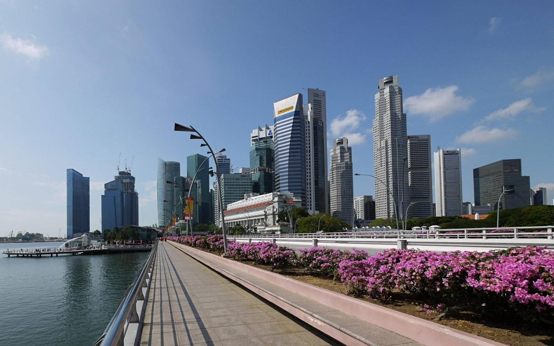 A cityscape featuring tall skyscrapers under a blue sky, with a pedestrian walkway lined with pink flowers in the foreground.
