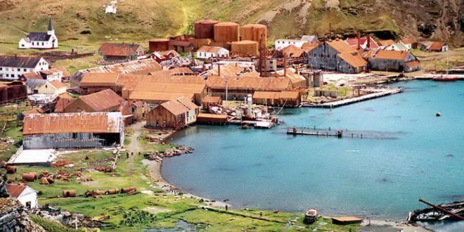 A coastal town with buildings and a bay. Brown buildings with reddish roofs line the harbor. A few cows are grazing in a field.