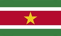 Flag of Suriname: Horizontal green stripes at top and bottom, separated by white stripes. Red band in the center with a centered gold star.
