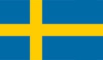 Swedish flag: yellow Nordic cross on a blue background.