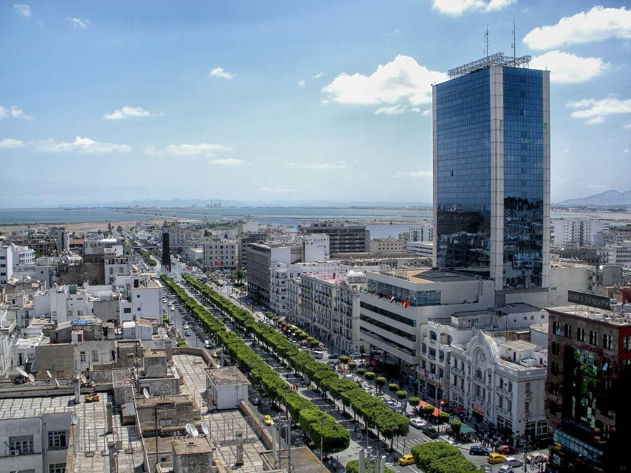 View of Tunis, Tunisia, with a tall skyscraper dominating the skyline. A wide avenue with trees lines the center.