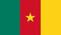 Flag of Cameroon: Vertical tricolor with green, red (bearing a yellow star), and yellow stripes.