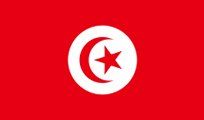Flag of Tunisia: Red background with a white circle containing a red crescent and star.