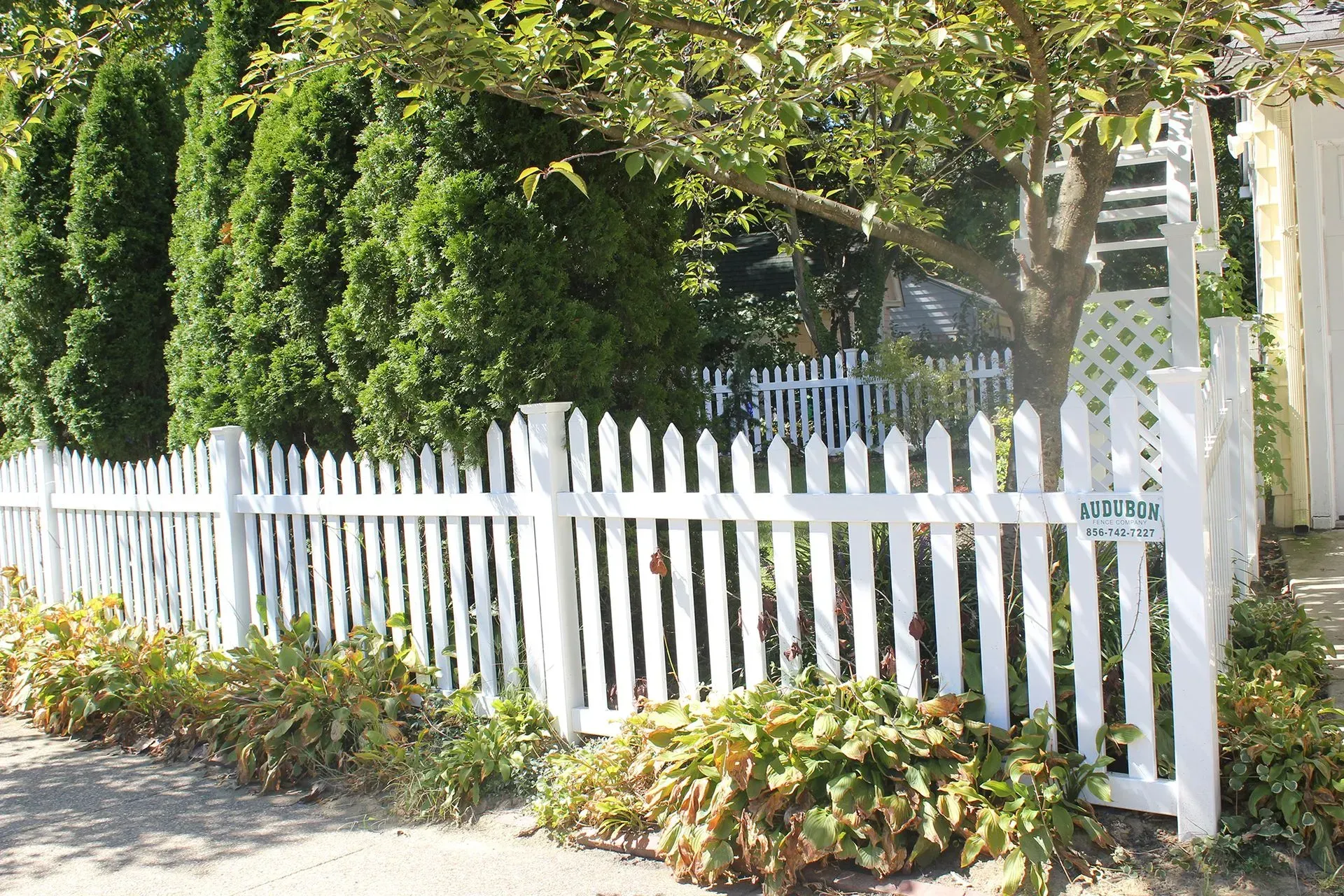 White picket fence along a leafy garden beside a sidewalk in bright sunlight