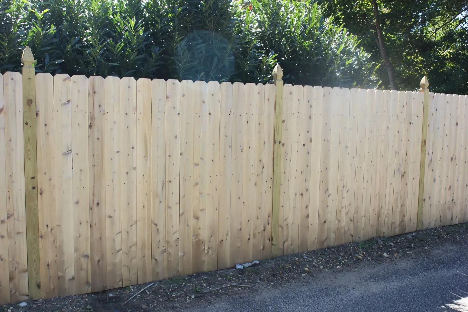 New wooden privacy fence beside a gravel driveway with trees behind it
