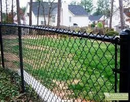 Chain-link fence around a green backyard with houses in the background