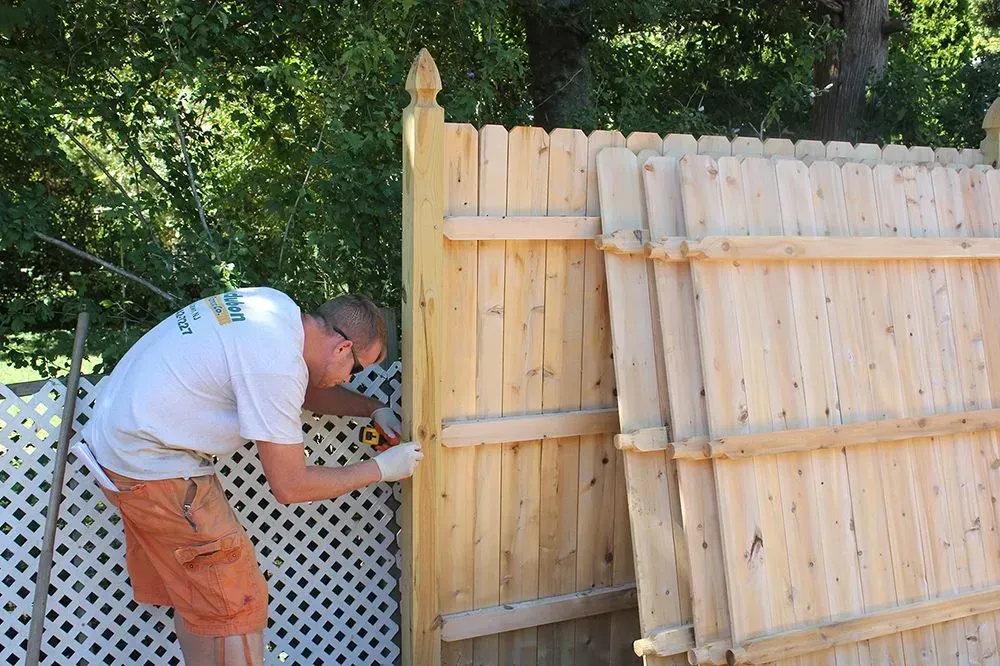 Person staining a wooden fence beside a white lattice panel in a backyard