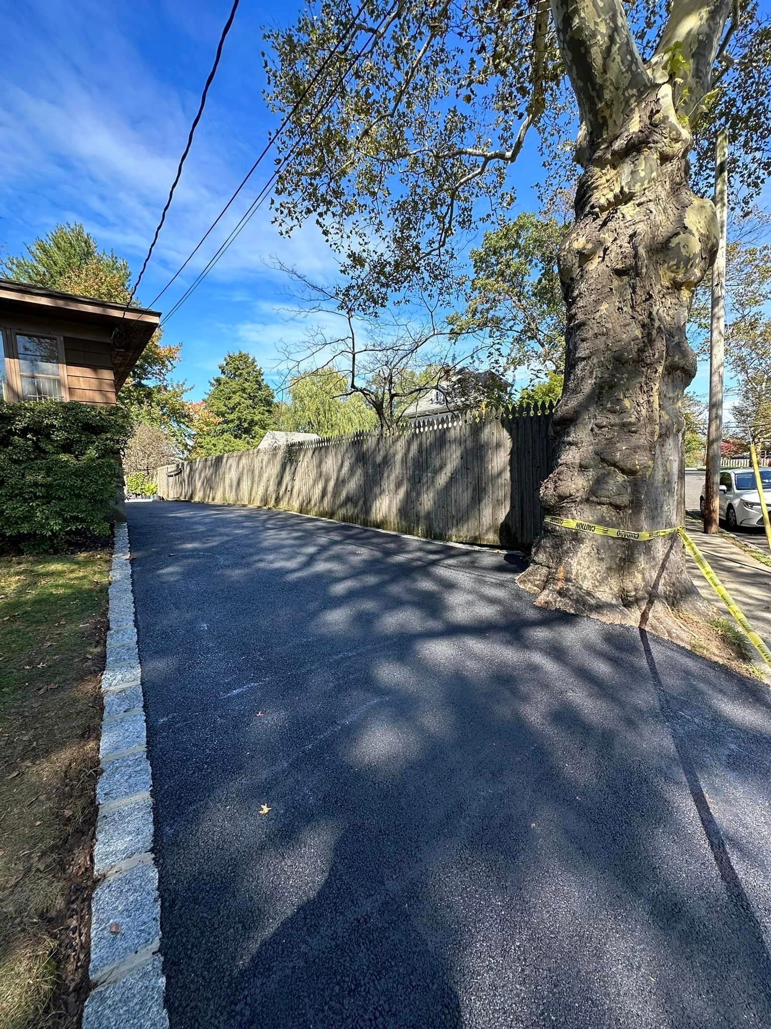 There is a tree on the side of the road.