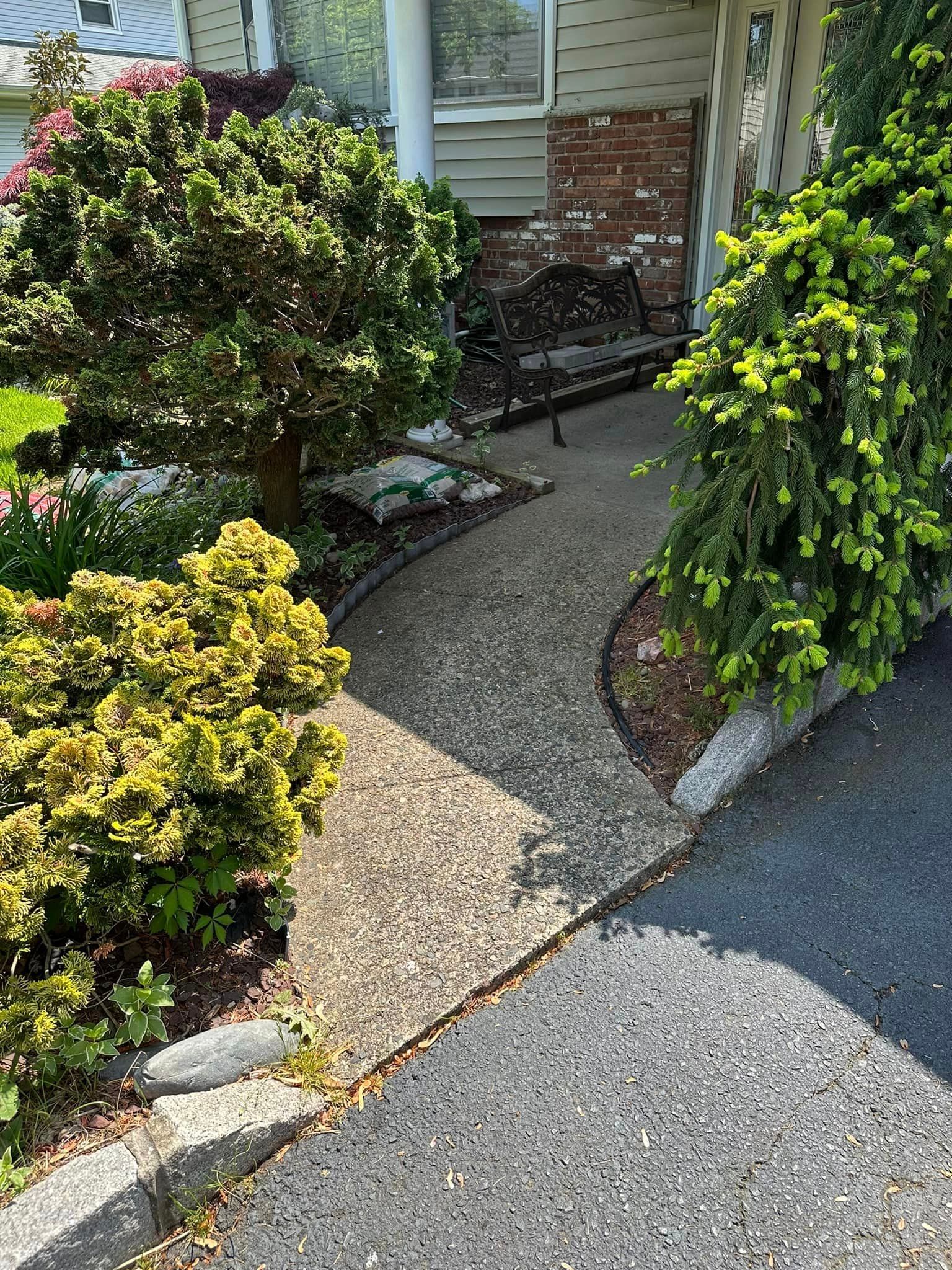 A walkway leading to a house surrounded by trees and bushes.