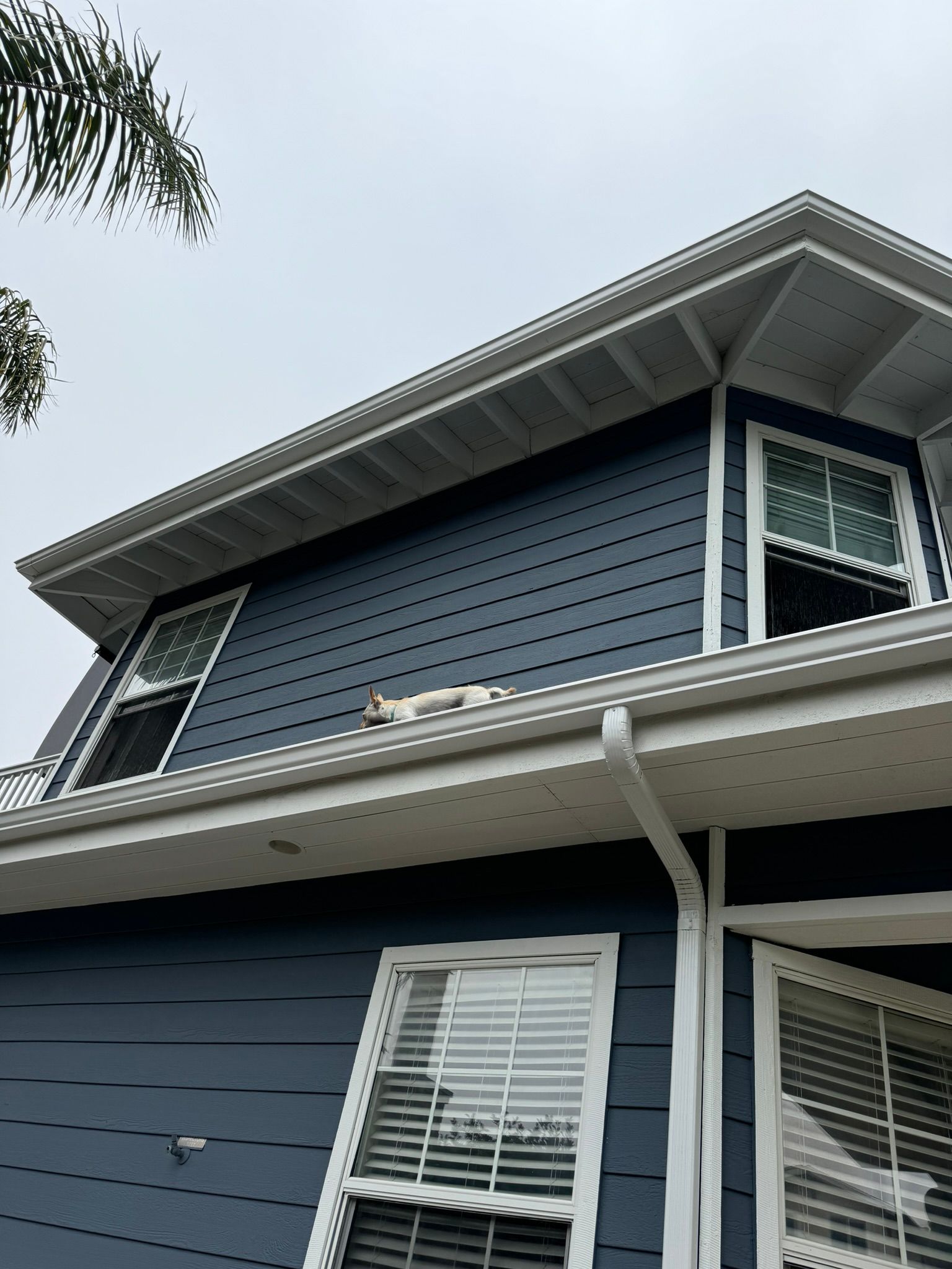 A cat is laying on the roof of a blue house.