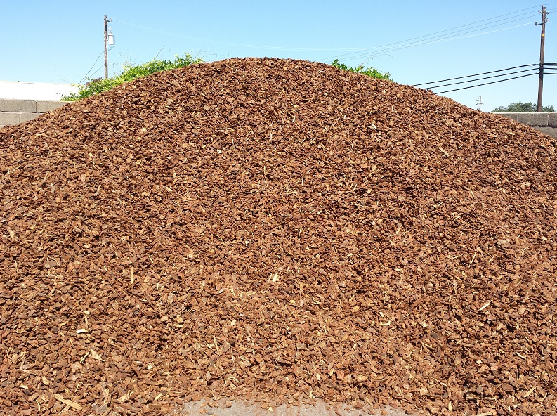 Gallery Page labeled as Medium Bark