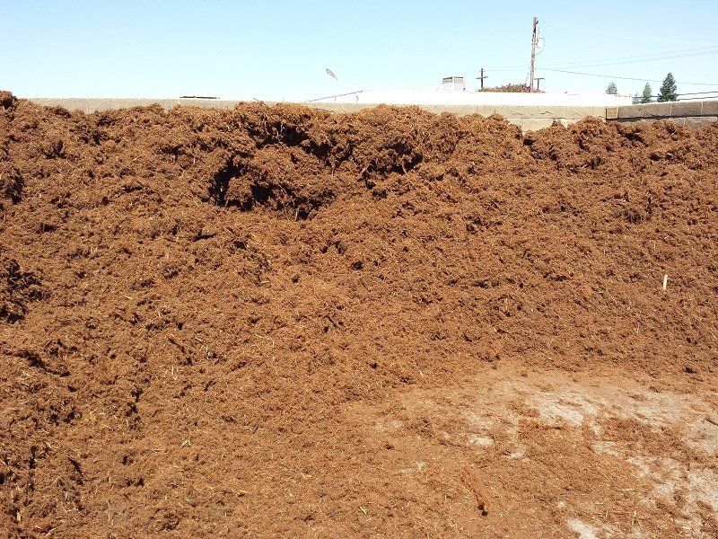 REDWOOD WOB (GORILLA HAIR)