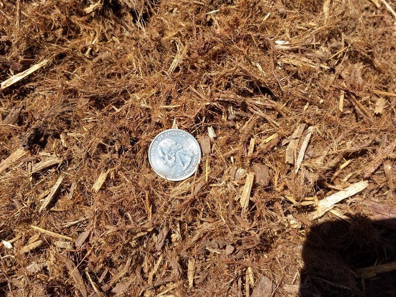 REDWOOD WOB (GORILLA HAIR)2