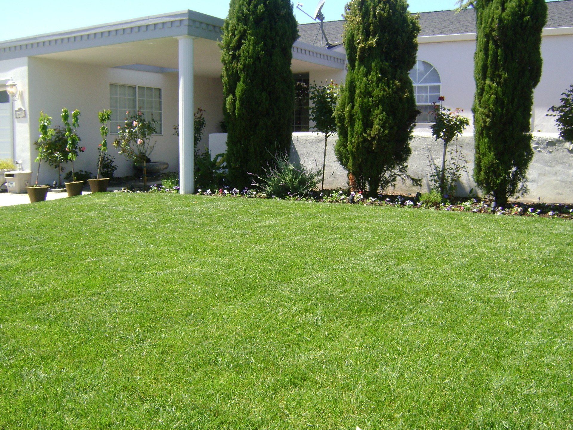 Lawn