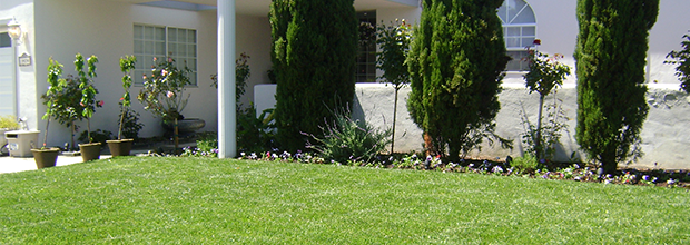 Landscaping Walkways Sod Installation Santa Cruz CA