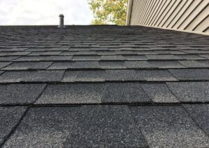Black Streaks on the Roof 