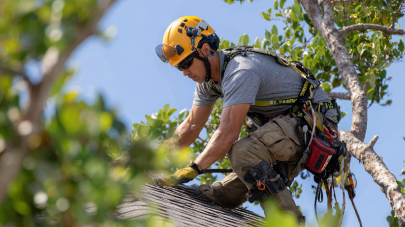 Arborist in helmet and harness trimming tree branches with a chainsaw on a rooftop