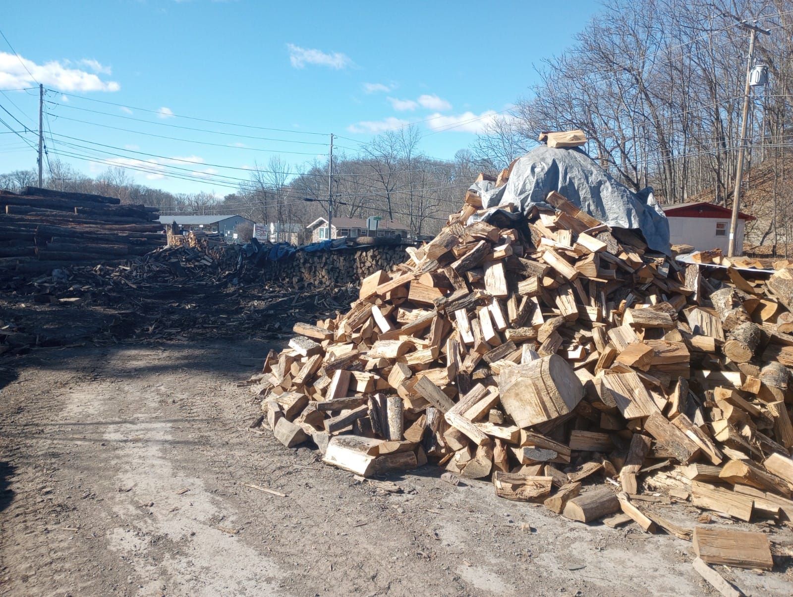 Pile of split firewood beside a dirt road on a sunny rural property