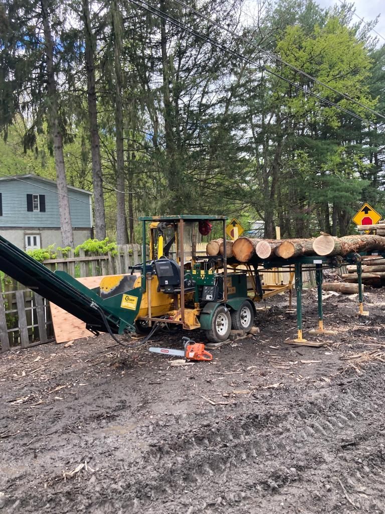 Yellow logging machine with conveyor processing cut logs in a wooded yard