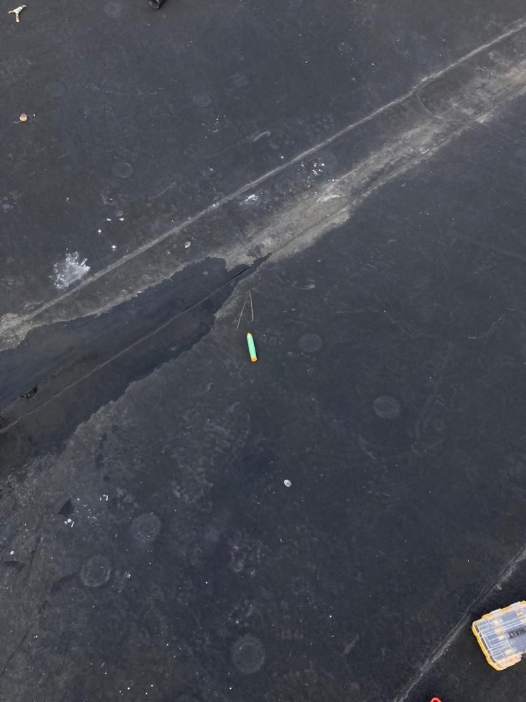 Dark pavement with a cracked seam and small colored object near the center.