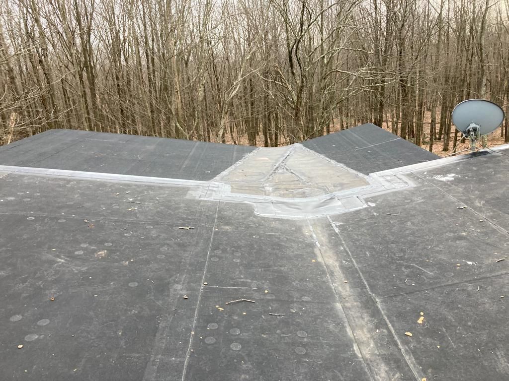 Flat rooftop with a central skylight, surrounded by bare trees and a satellite dish in the distance.