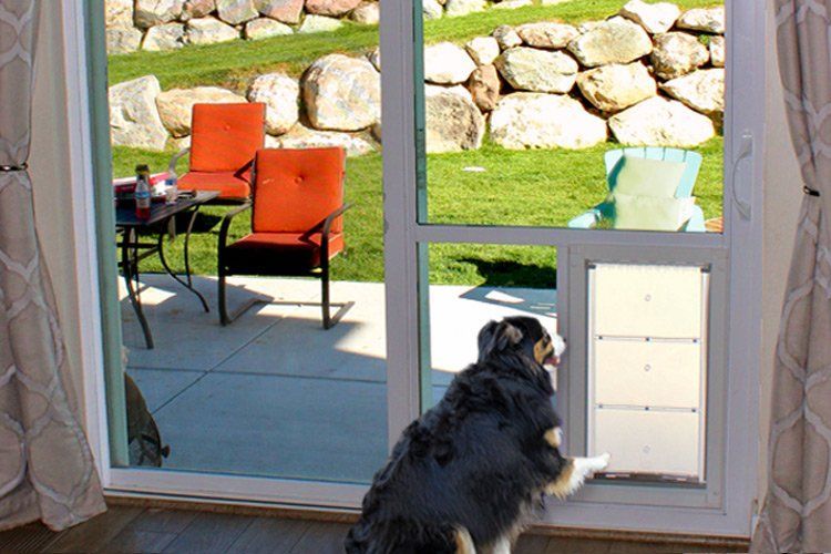 Pet & Patio Doors