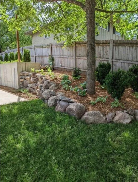 A lush green yard with a wooden fence and a tree.
