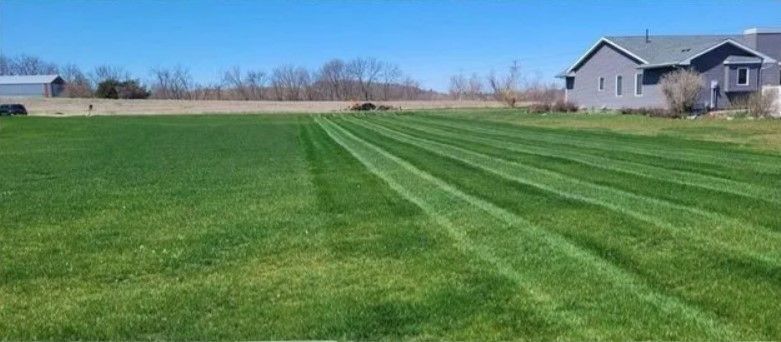 A lush green field of grass with a house in the background.