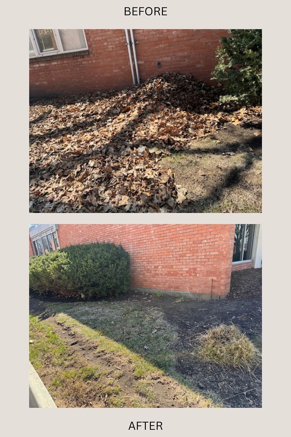 Before and after photos a plant area that used to be filled with dried leaves