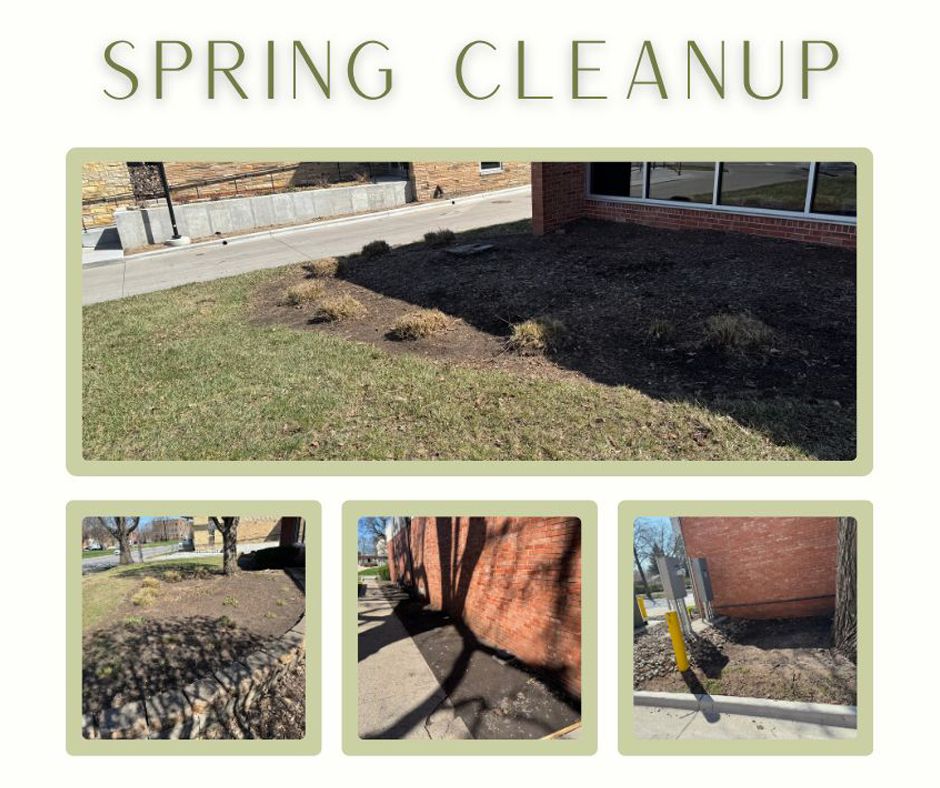 Spring cleanup pictures