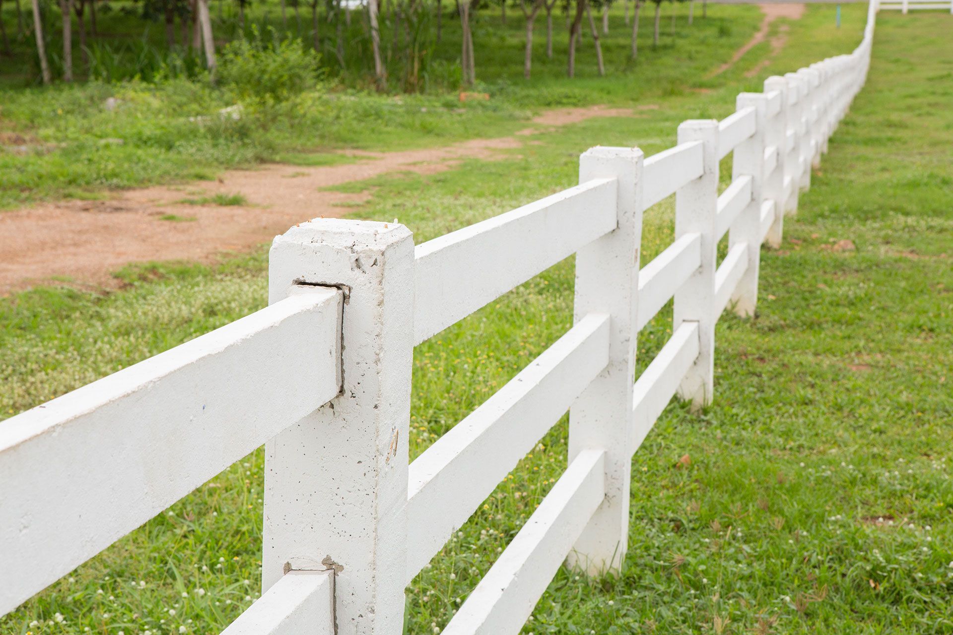 white wood agriculture fences