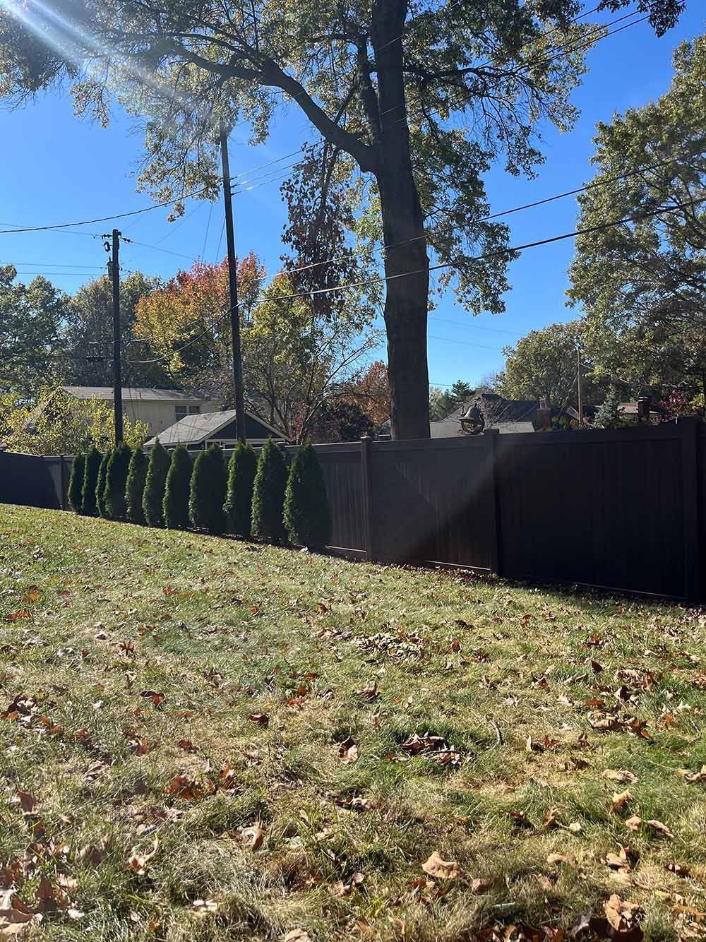 A black fence surrounds a lush green field